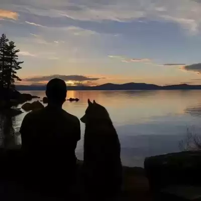 段绮玉